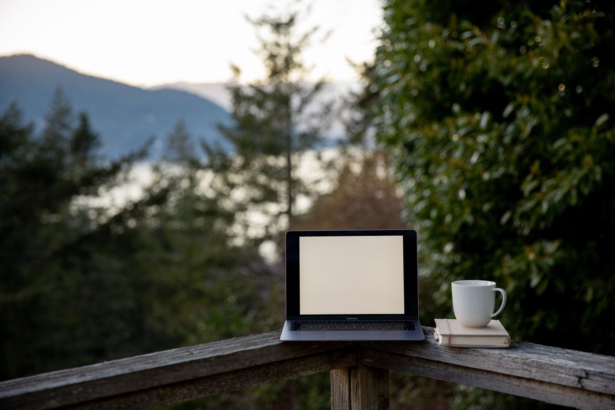 Desk Days and Restless Nights: Traditional Plants for People Who Work Behind a Screen