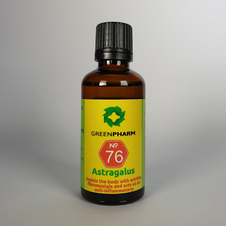 Astragalus