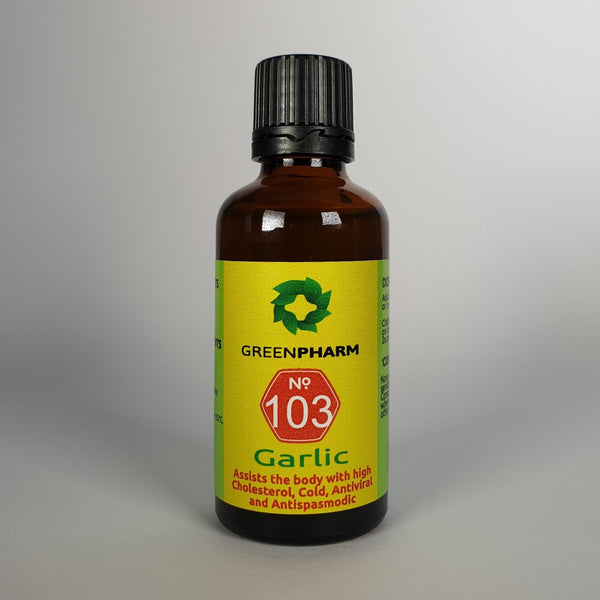 Garlic