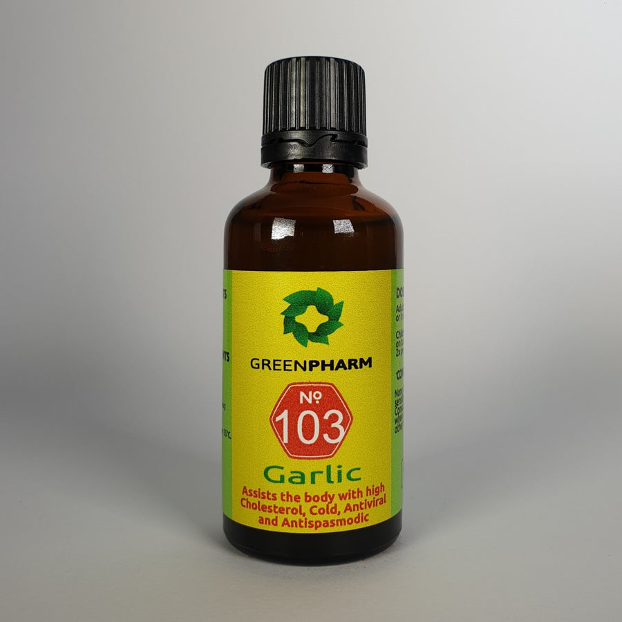 Garlic
