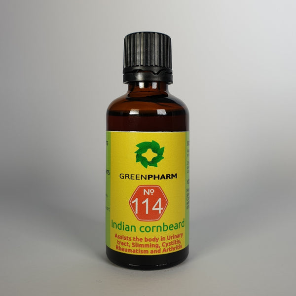 Indian cornbeard
