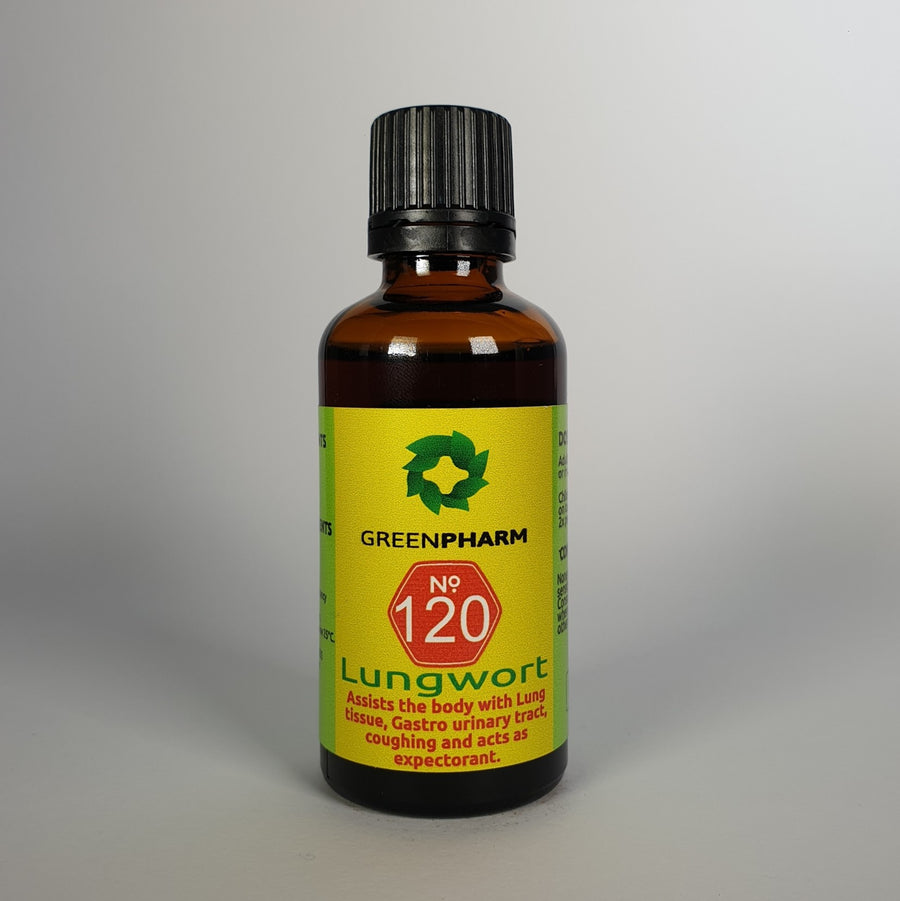 Lungwort